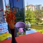 Handan