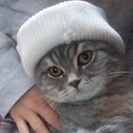 Cüneyt