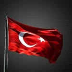 Halil
