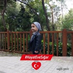Sebile