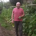 Halil