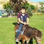 Murat