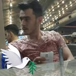 Ne Nasıl
