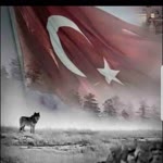 Kürşat