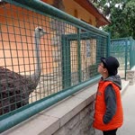 Alpay