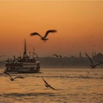 Arzu