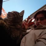 Melek