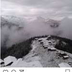 Rizli