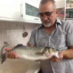İlhan