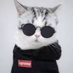 Erdem