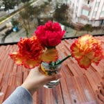 Seher
