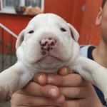 Profil fotoğrafı