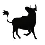 Kum