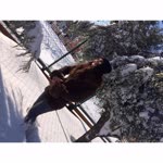 Gizem