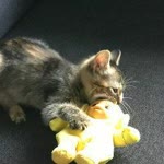 Zeynep