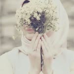 Habibe