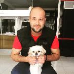 Alper