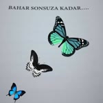 Şefeat
