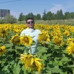 Nihat