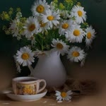Sibel