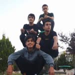 Şahin