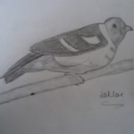 Enes
