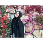 Buse