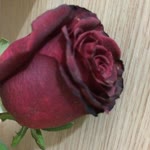 Muhammed