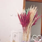 Neslihan