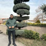 Feyyaz