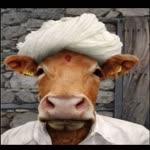 Zeki