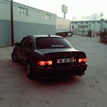 Umut