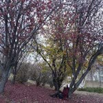 Meryem