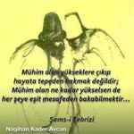 Şebnem