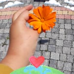 Didem