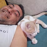 Yücel