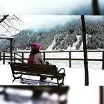Zeyneb
