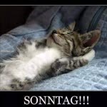 Alte