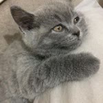 Emre