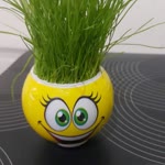 Arzu
