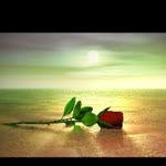 Talha