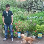 Semih