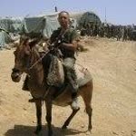 Serdar