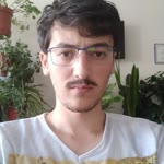 Şahin