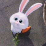 Furkan