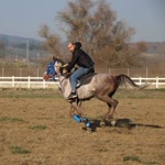 Murat