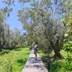 Emel