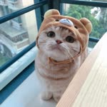 Sumeyye