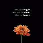 Özlem