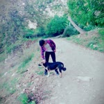 Vedat